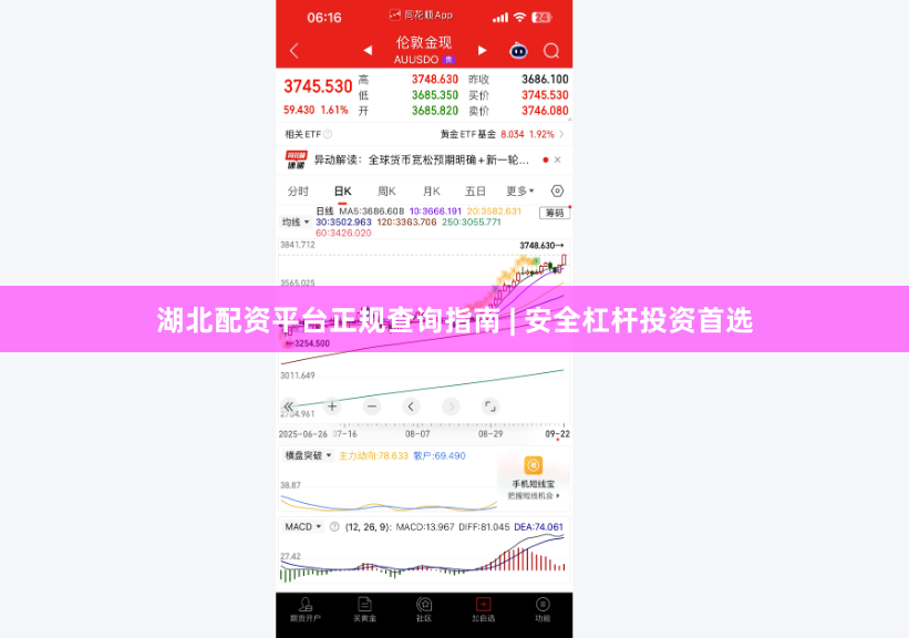 湖北配资平台正规查询指南 | 安全杠杆投资首选