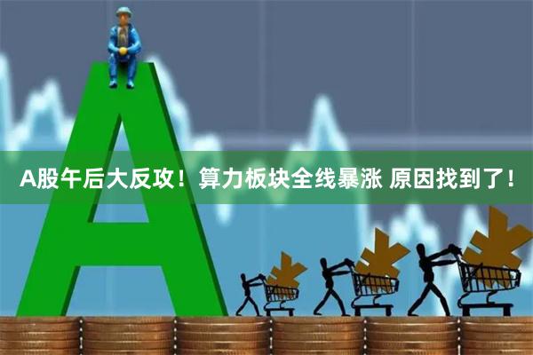 A股午后大反攻！算力板块全线暴涨 原因找到了！